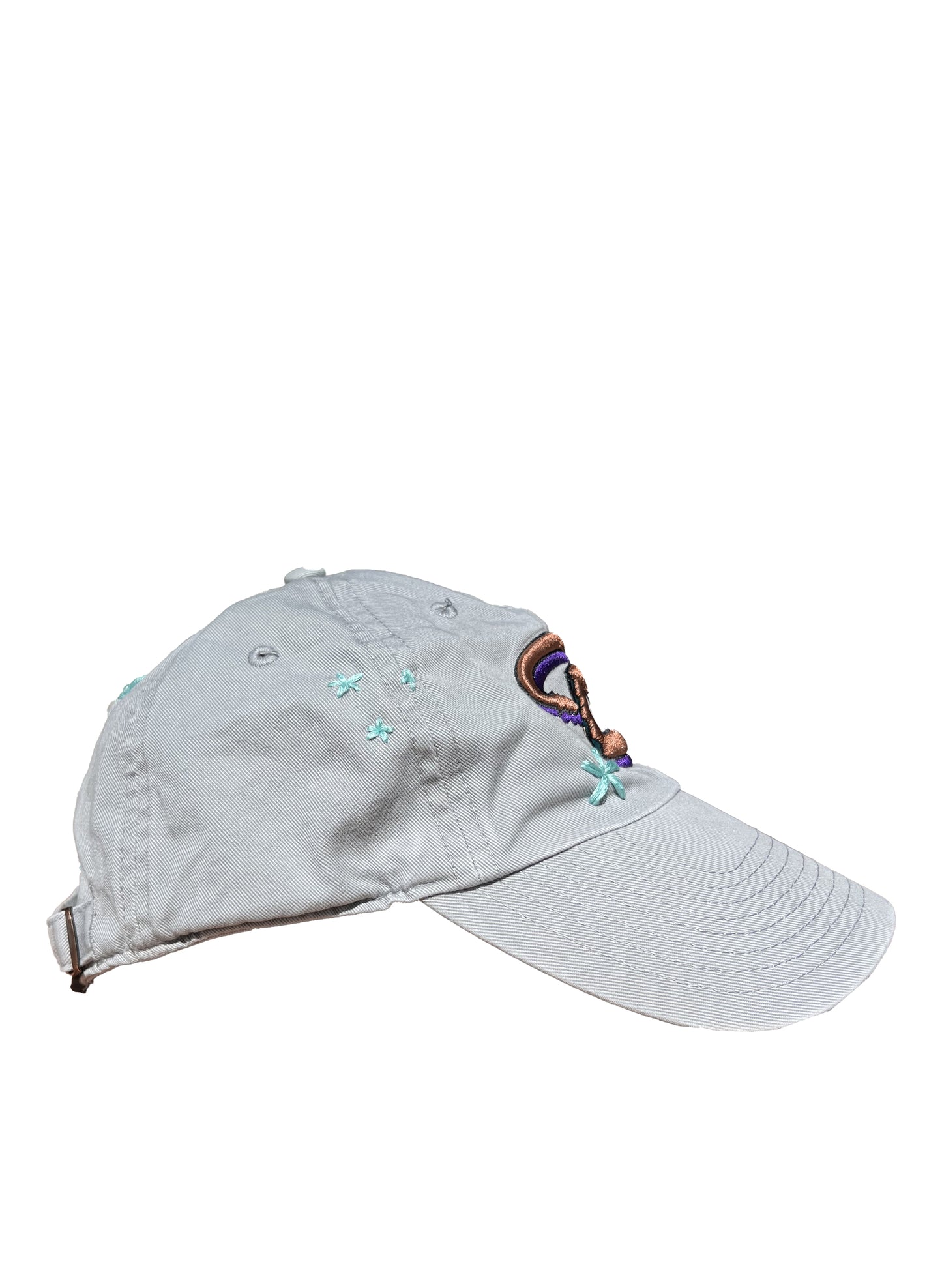 Diamondbacks Serpent Cap