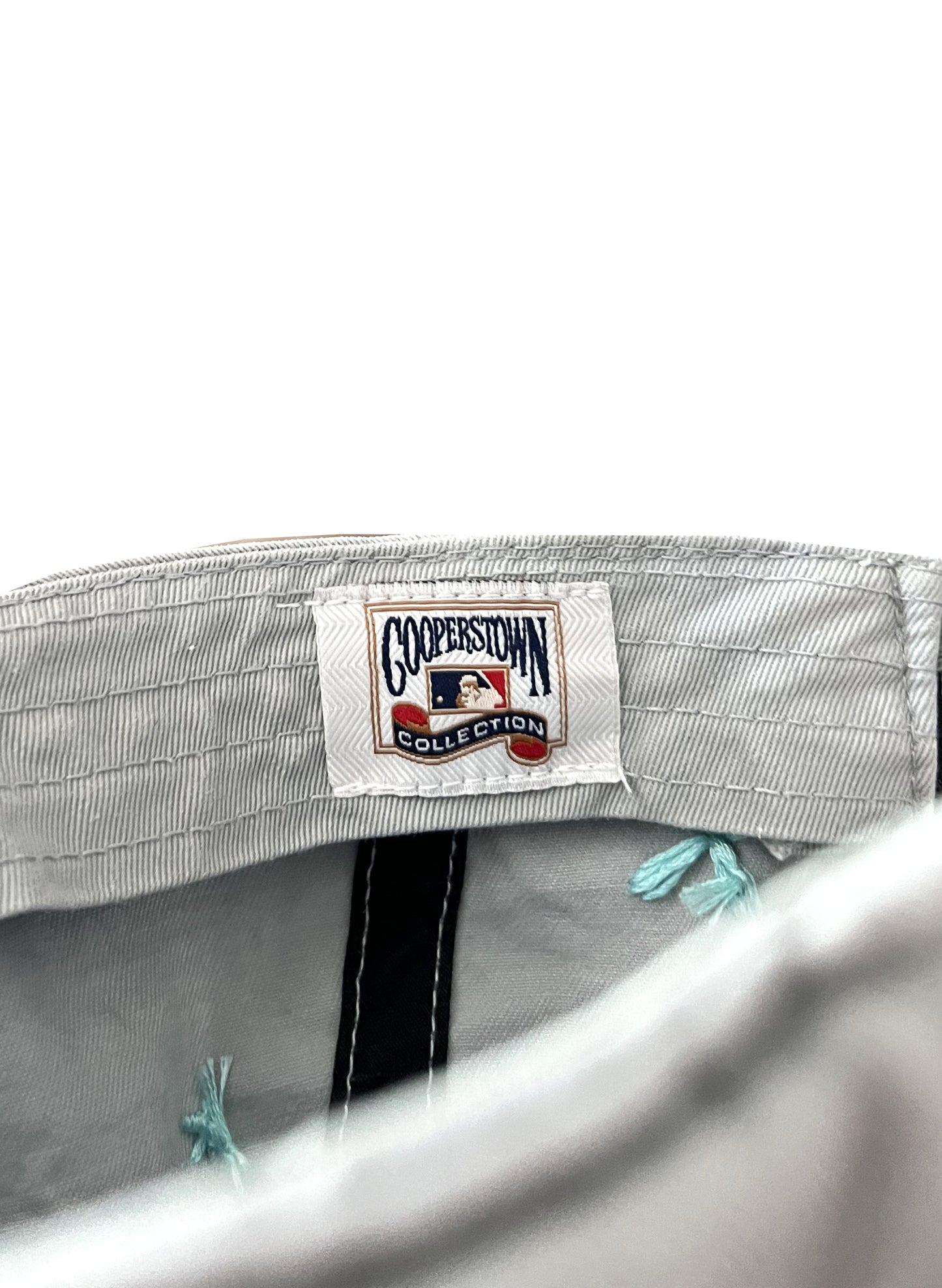 Diamondbacks Serpent Cap