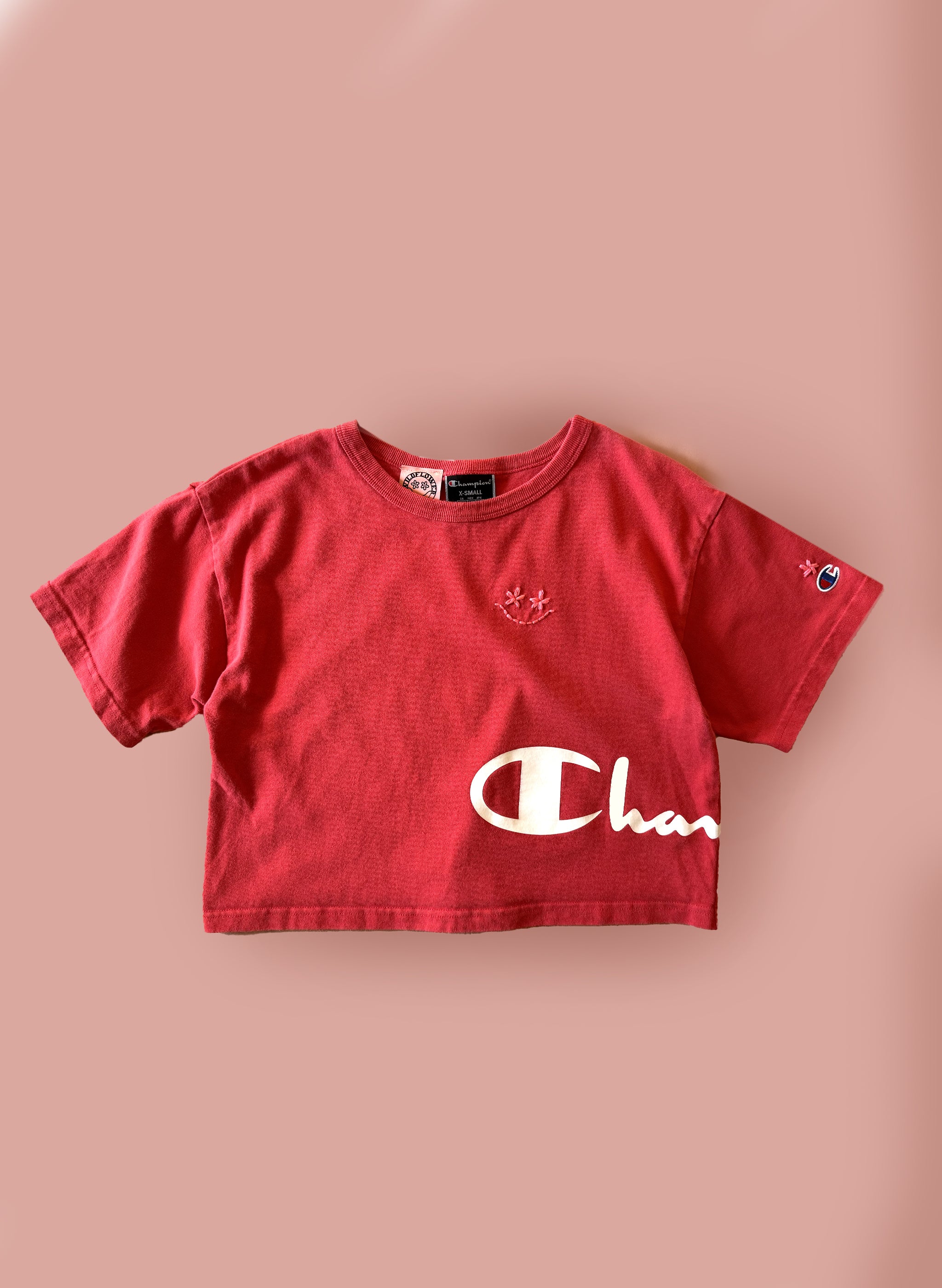 WF Smiley Cropped T-Shirt (XS/S)