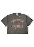 Arizona Cardinals Cropped T-Shirt (L/XL)