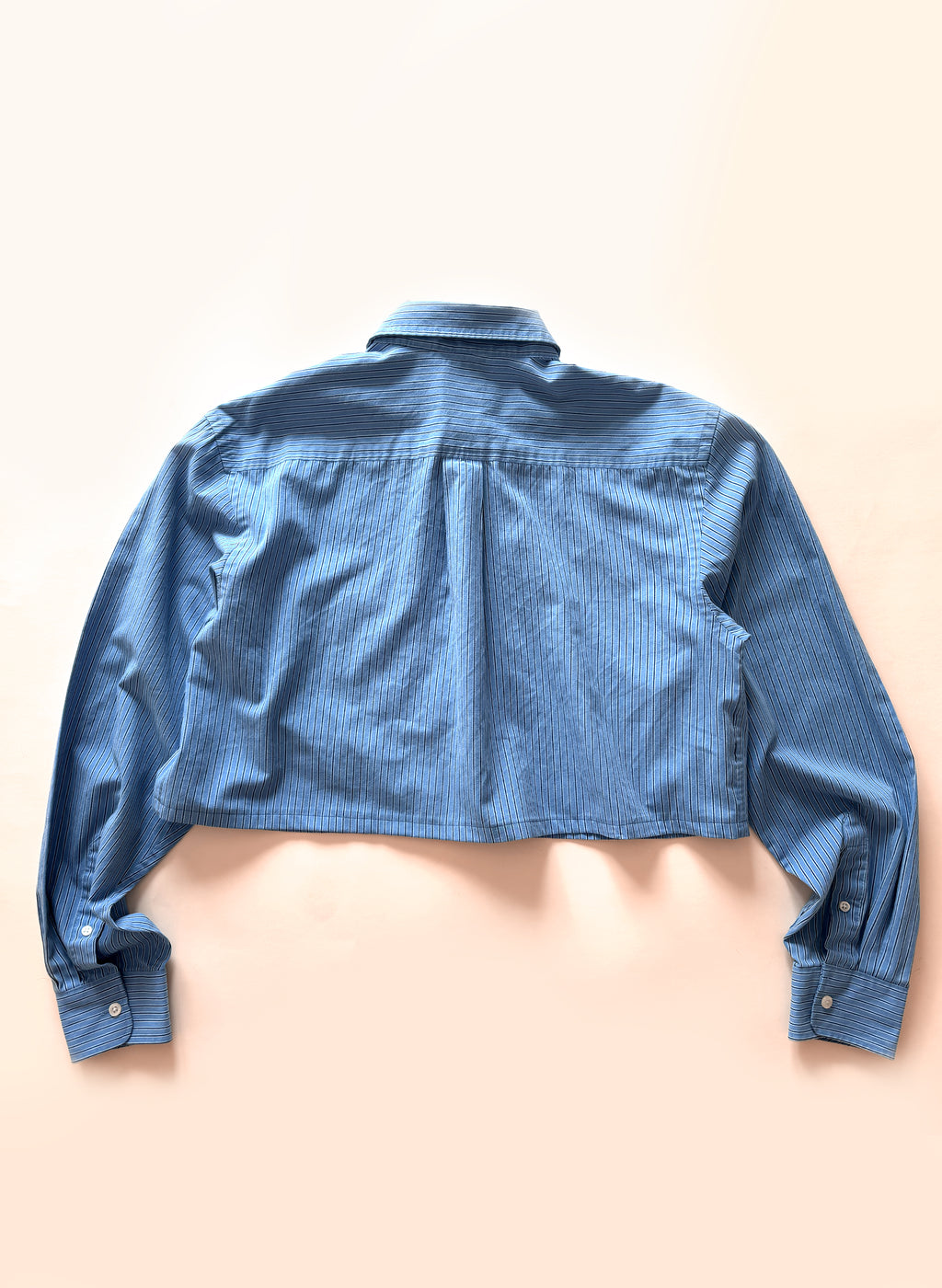 Reworked Crop Shirt - L