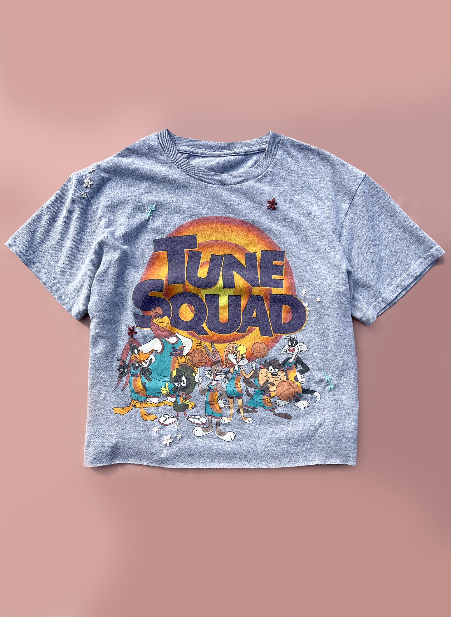 Y2K Tune Squad Cropped Tee